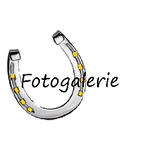 Fotogalerie